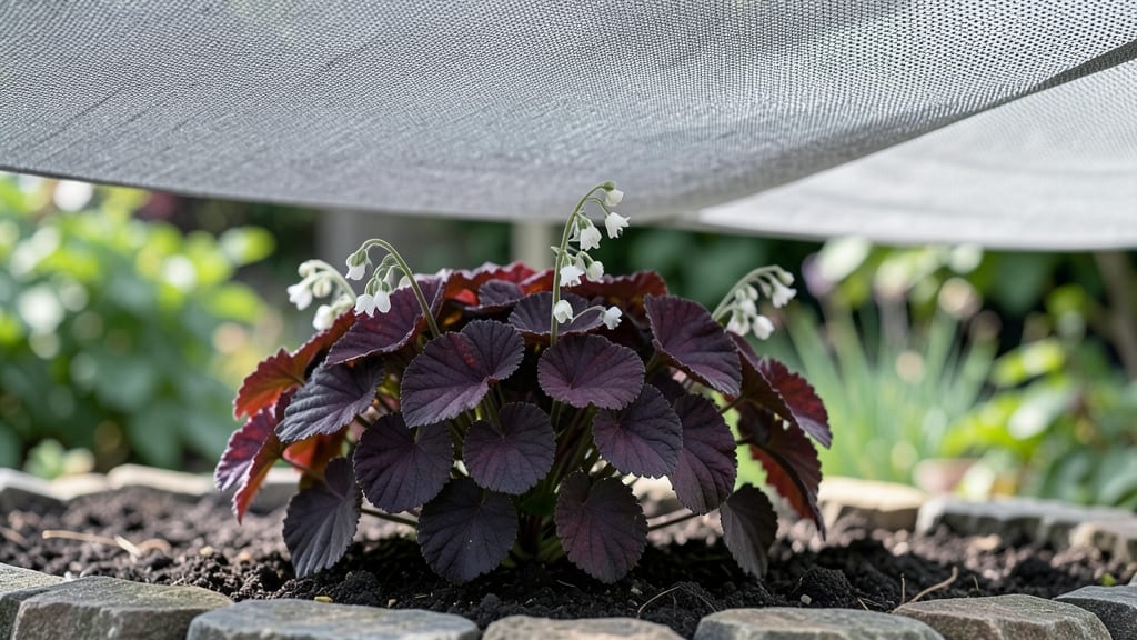 Shade Cloth UV Protection: Ultra-Durable Fabric for Garden Safety